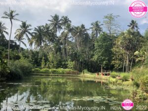 MadeinMycountry-India-MadeinMycountryIndia-MadeinMycountry-Asia-MadeinMycountryIN