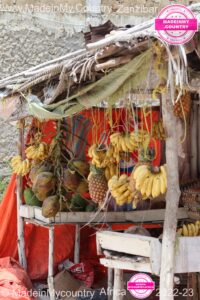 MadeinMycountry-MadeinMycountryAfrica-Africa-Madein-Africa-MadeinMycountryNET-Culture-History-Zanzibar-Africa