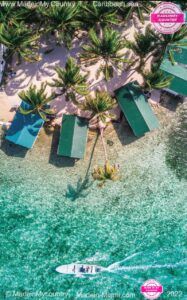 MadeinMycountry-America-latina