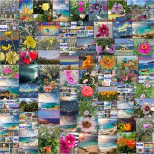 MadeinMycountryGR Greece Hellas Cyprus MacedoniaGR Made in Greece Aegean sea Greek islands Greek seas Ελλαδα Κυπρος Μακεδονια Αιγαιο Καστελλοριζο