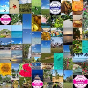 MadeinMycountry Miami (LAT): MadeinMycountry es una plataforma global que celebra y apoya la historia local, la cultura, el arte y los esfuerzos de conservación de la naturaleza. Durante dos décadas, hemos patrocinado museos locales, organizaciones culturales, destinos turísticos, sitios históricos y diversos eventos culturales en todo el mundo.