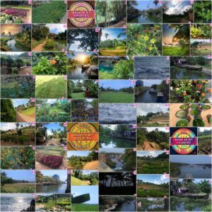 MadeinMycountry India! MadeinMycountry is a global platform that celebrates and supports local history, culture, art and nature conservation efforts.