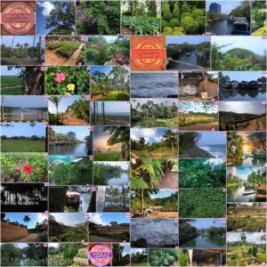 MadeinMycountry India! MadeinMycountry is a global platform that celebrates and supports local history, culture, art and nature conservation efforts.