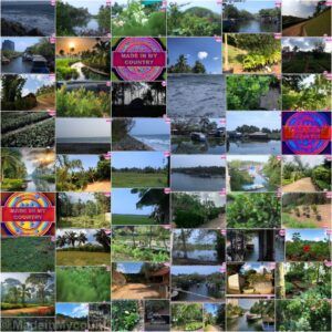 MadeinMycountry India! MadeinMycountry is a global platform that celebrates and supports local history, culture, art and nature conservation efforts.