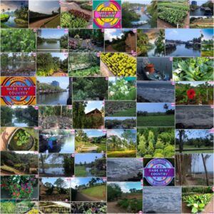 MadeinMycountry India! MadeinMycountry is a global platform that celebrates and supports local history, culture, art and nature conservation efforts.