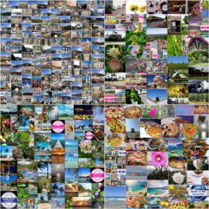 MadeinMycountry is a global platform that celebrates and supports local history, culture, art, and nature conservation efforts. For two decades, we have been sponsoring local museums, cultural organizations, travel destinations, historical sites and various cultural events around the world.